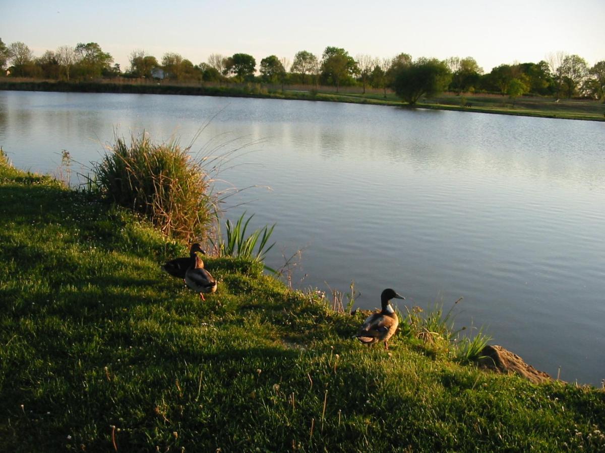 Camping du Lac de Saujon Bagian luar foto